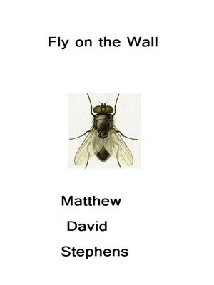 cover image of Fly on the Wall